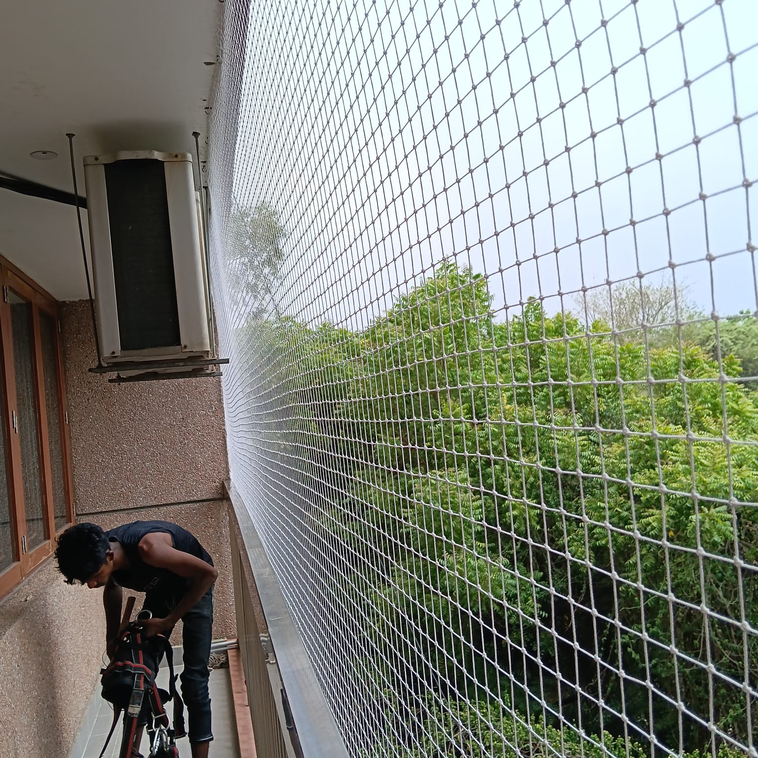 birdnettingdelhi